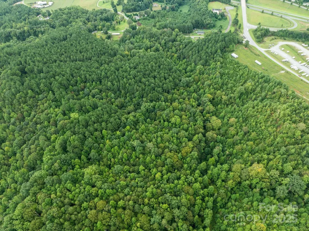 TBD Pea Ridge Road Mill Spring, NC 28756