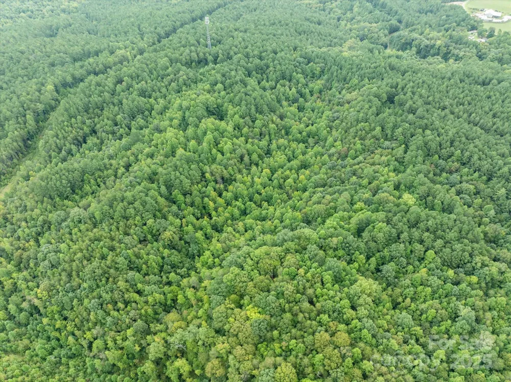 TBD Pea Ridge Road Mill Spring, NC 28756