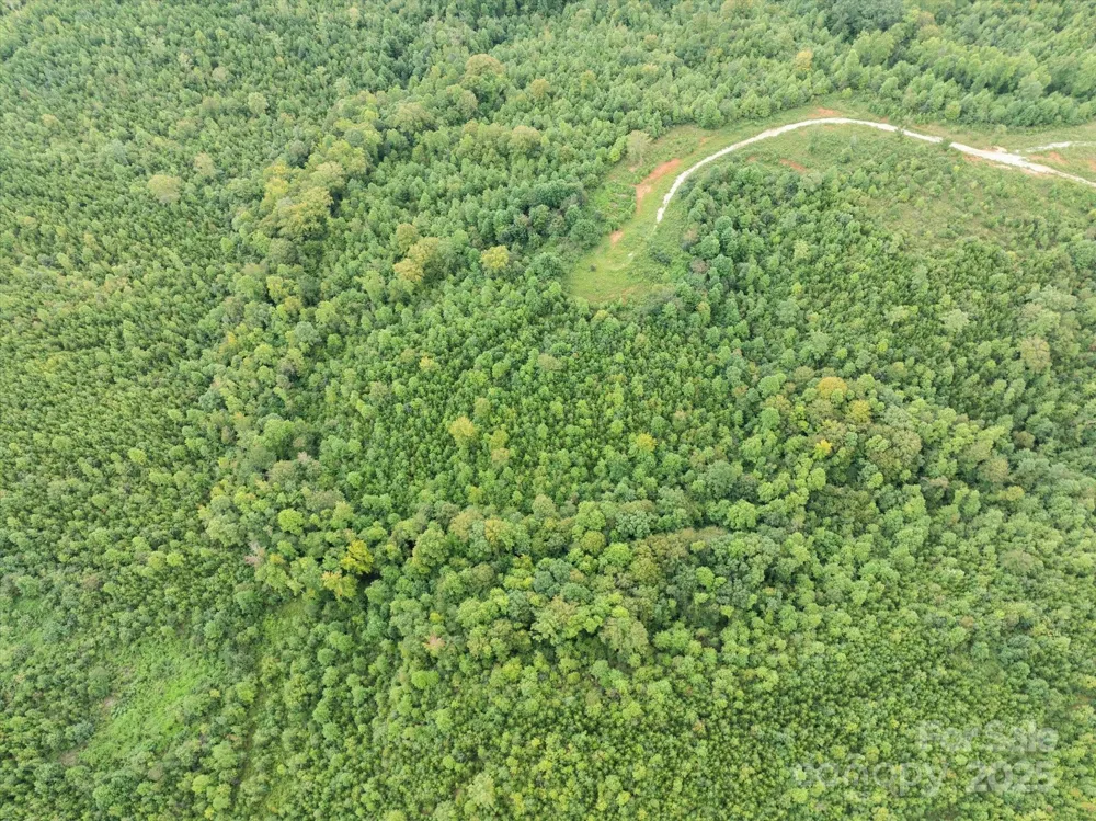 TBD Pea Ridge Road Mill Spring, NC 28756