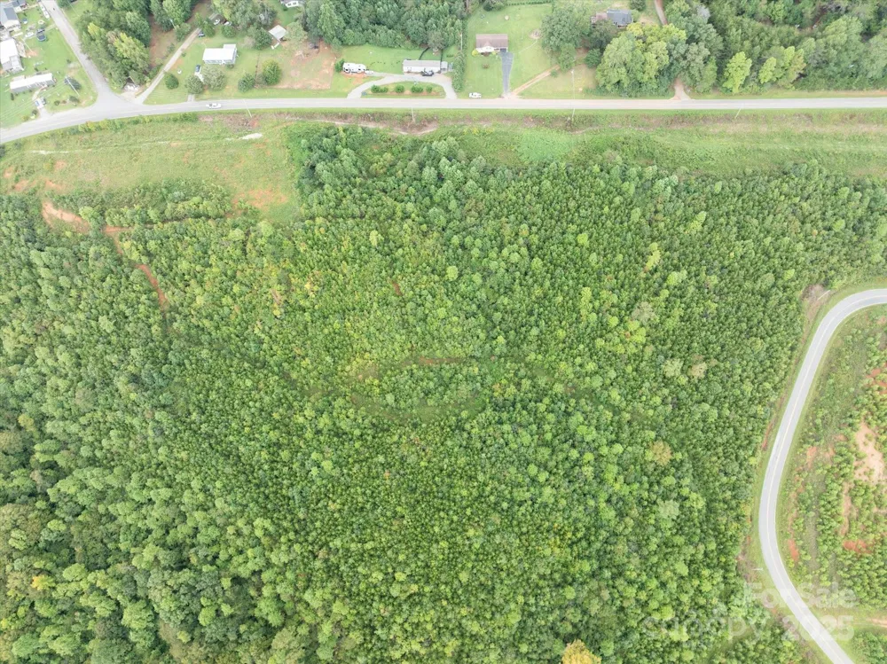 TBD Pea Ridge Road Mill Spring, NC 28756