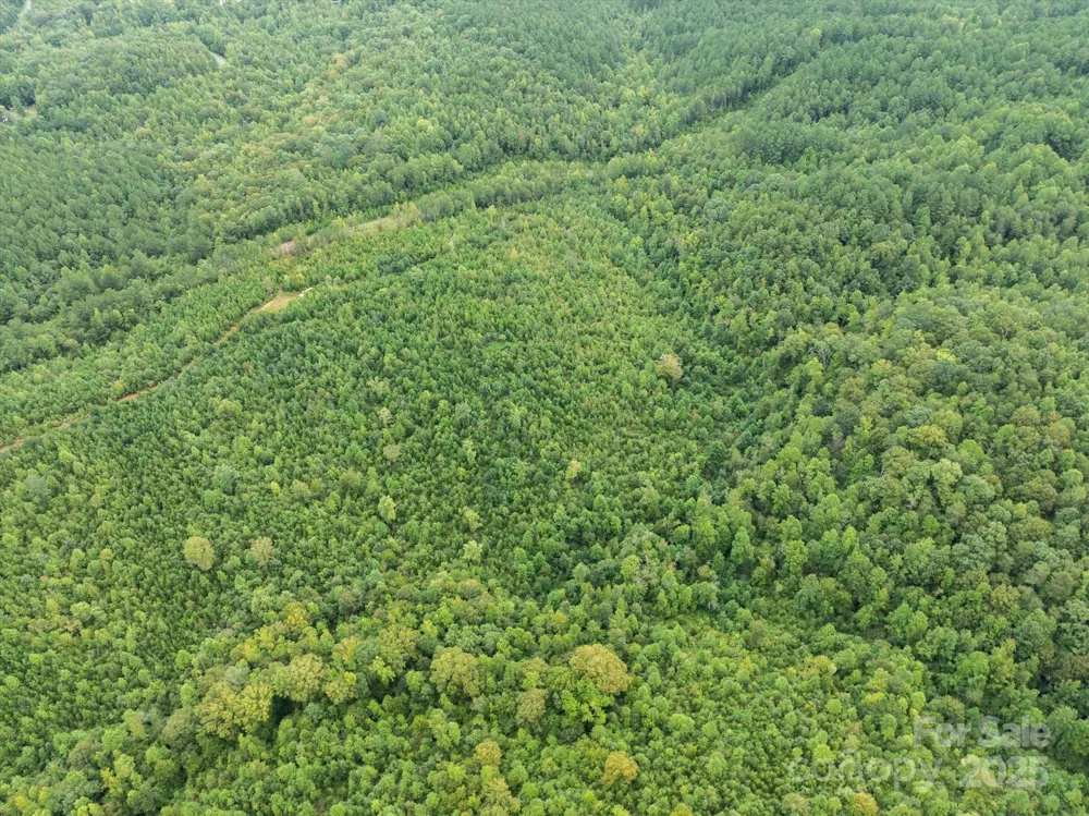 TBD Pea Ridge Road Mill Spring, NC 28756