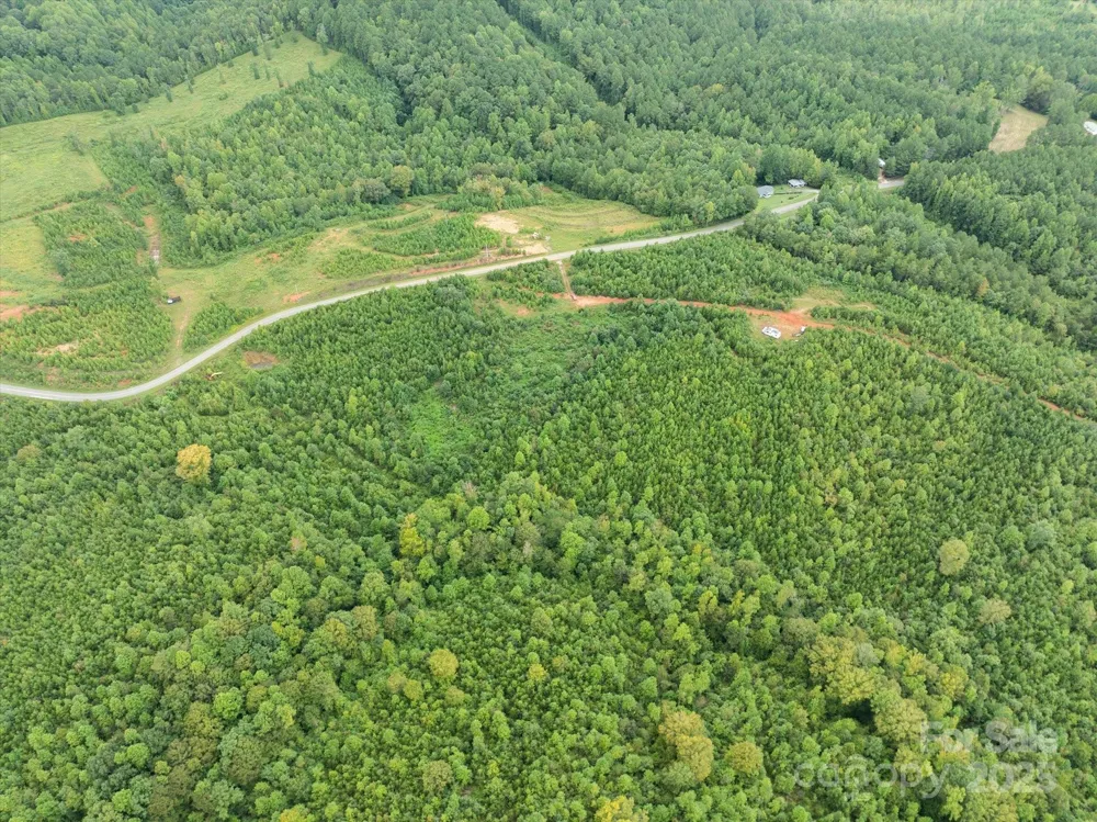 TBD Pea Ridge Road Mill Spring, NC 28756
