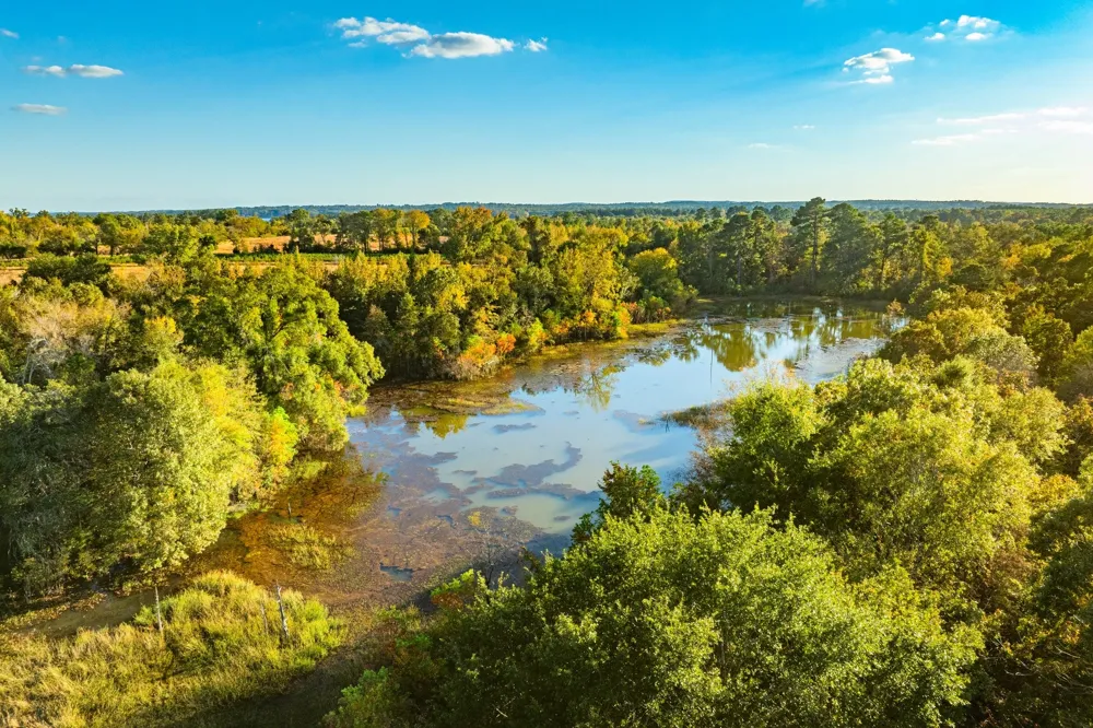 Cr-3411 Chandler, TX 75758