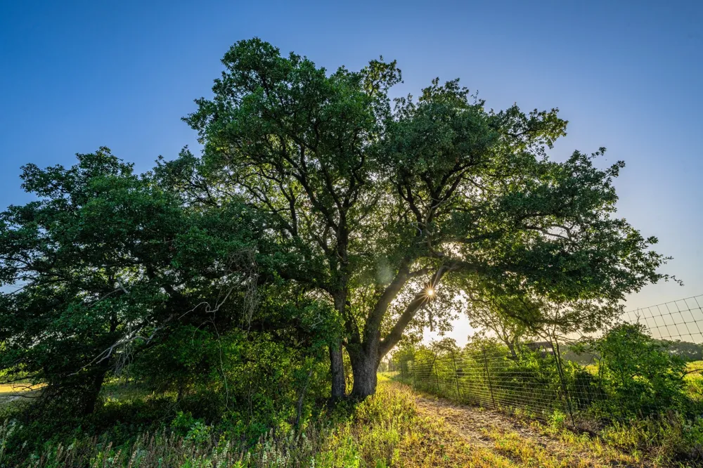 3021 Fm-1689 Comanche, TX 76442