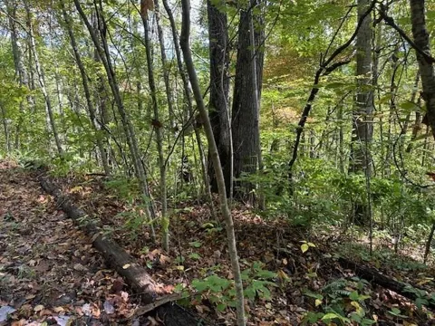 Shady Grove Road