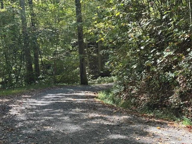 Shady Grove Road Tuckasegee, NC 28783
