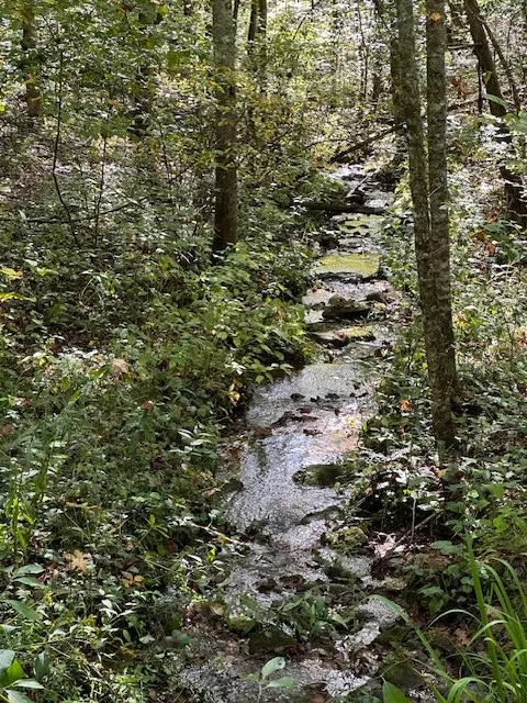 Shady Grove Road Tuckasegee, NC 28783