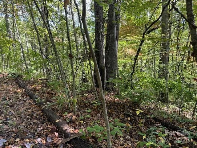 H16-H17 Shady Grove Road Tuckasegee, NC 28783
