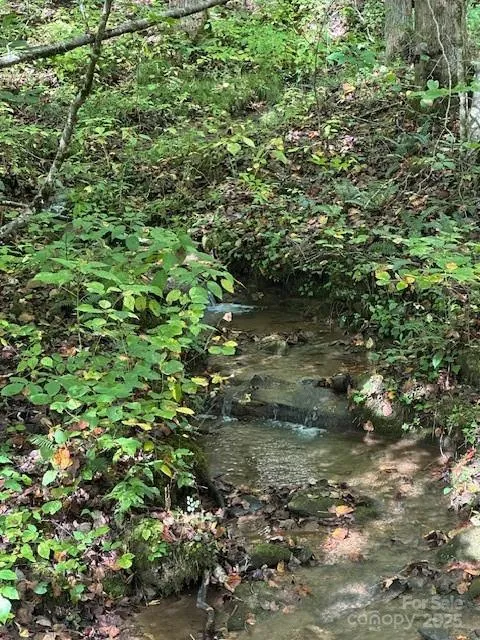 H16-H17 Shady Grove Road Tuckasegee, NC 28783