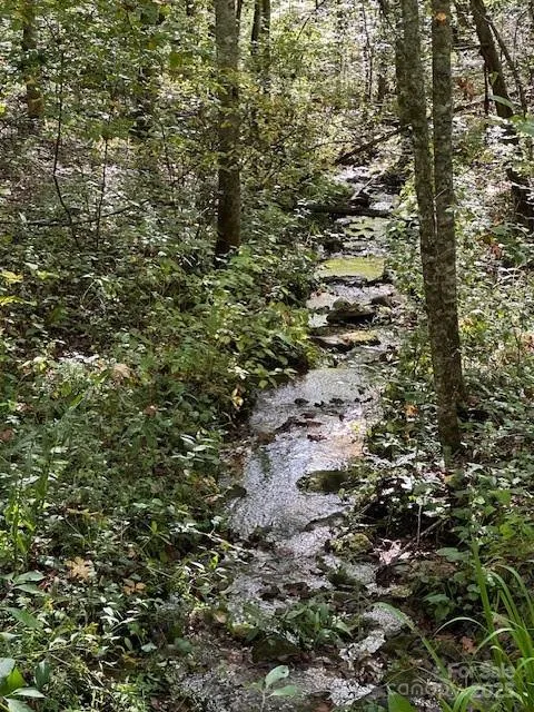 H16-H17 Shady Grove Road Tuckasegee, NC 28783