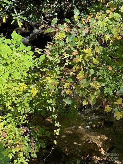 H16-H17 Shady Grove Road Tuckasegee, NC 28783