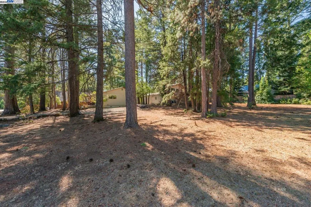 230 Lakeview Dr. Trinity Center, CA 96091