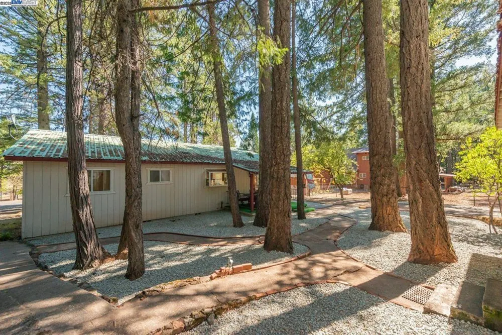 230 Lakeview Dr. Trinity Center, CA 96091