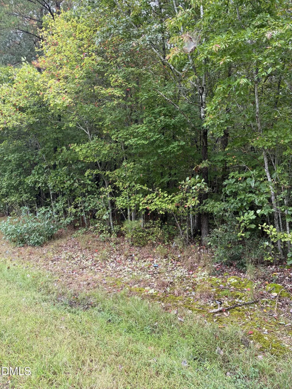 0 Gordon Moore Road Franklinton, NC 27525