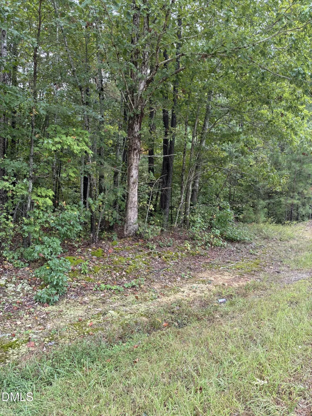0 Gordon Moore Road Franklinton, NC 27525