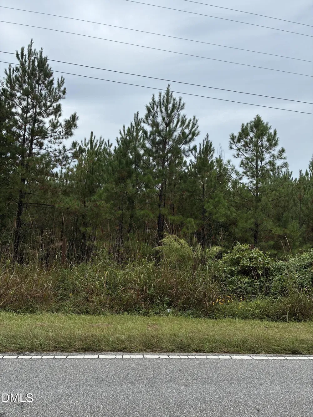 0 Gordon Moore Road Franklinton, NC 27525