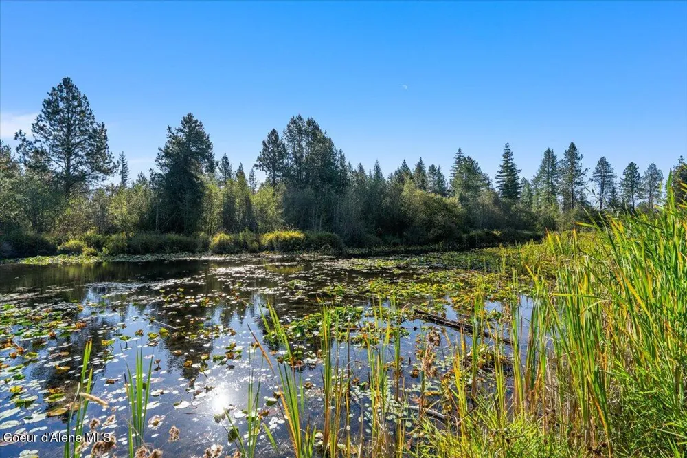 182 E Fern Lane Cocolalla, ID 83813