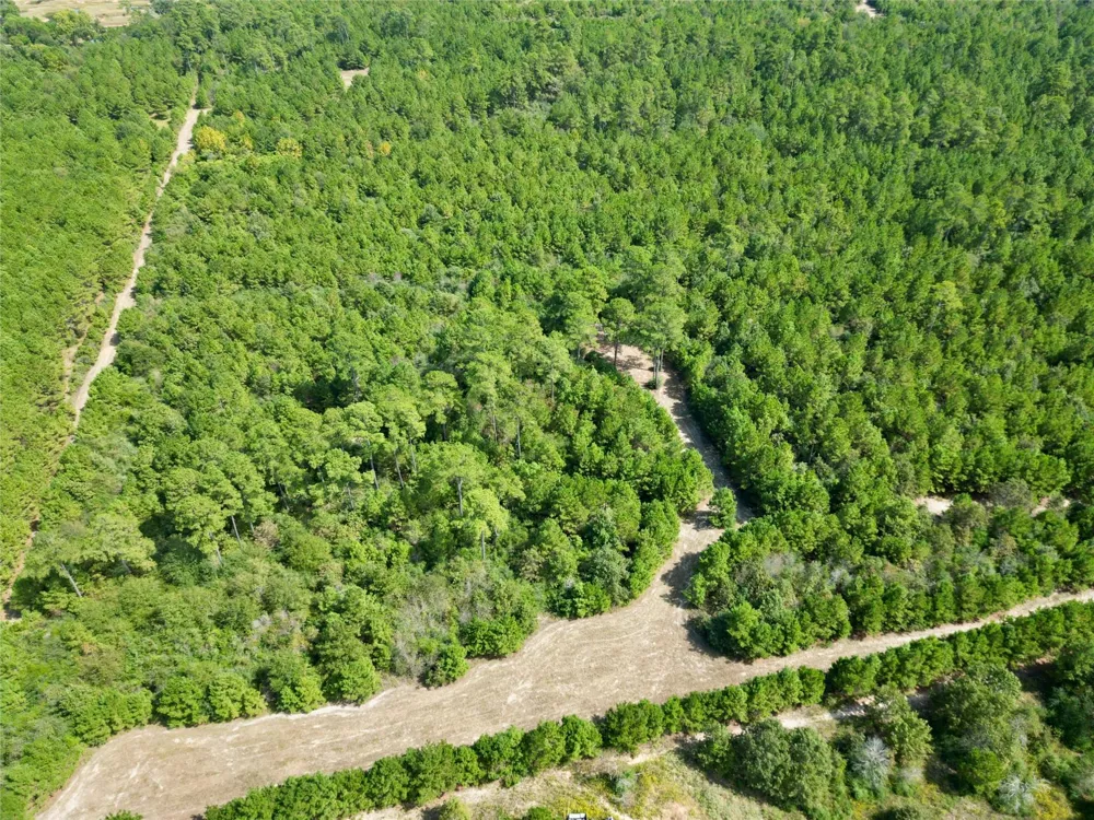 County Road 304 Navasota, TX 77868