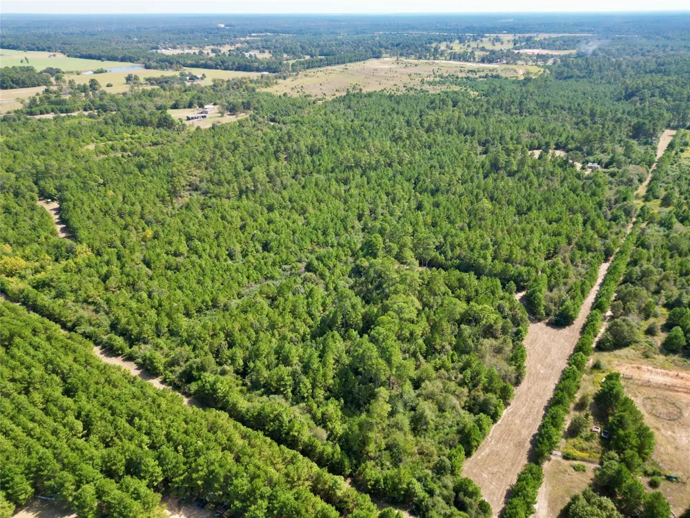 County Road 304 Navasota, TX 77868