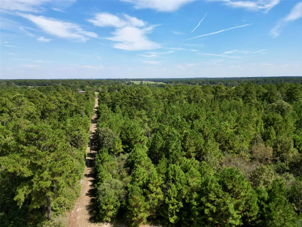 County Road 304 Navasota, TX 77868