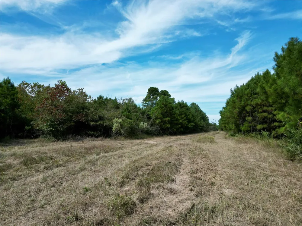 County Road 304 Navasota, TX 77868