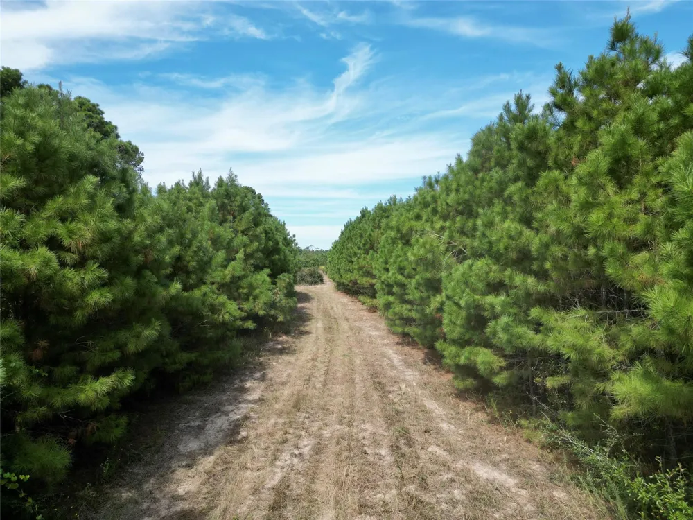 County Road 304 Navasota, TX 77868