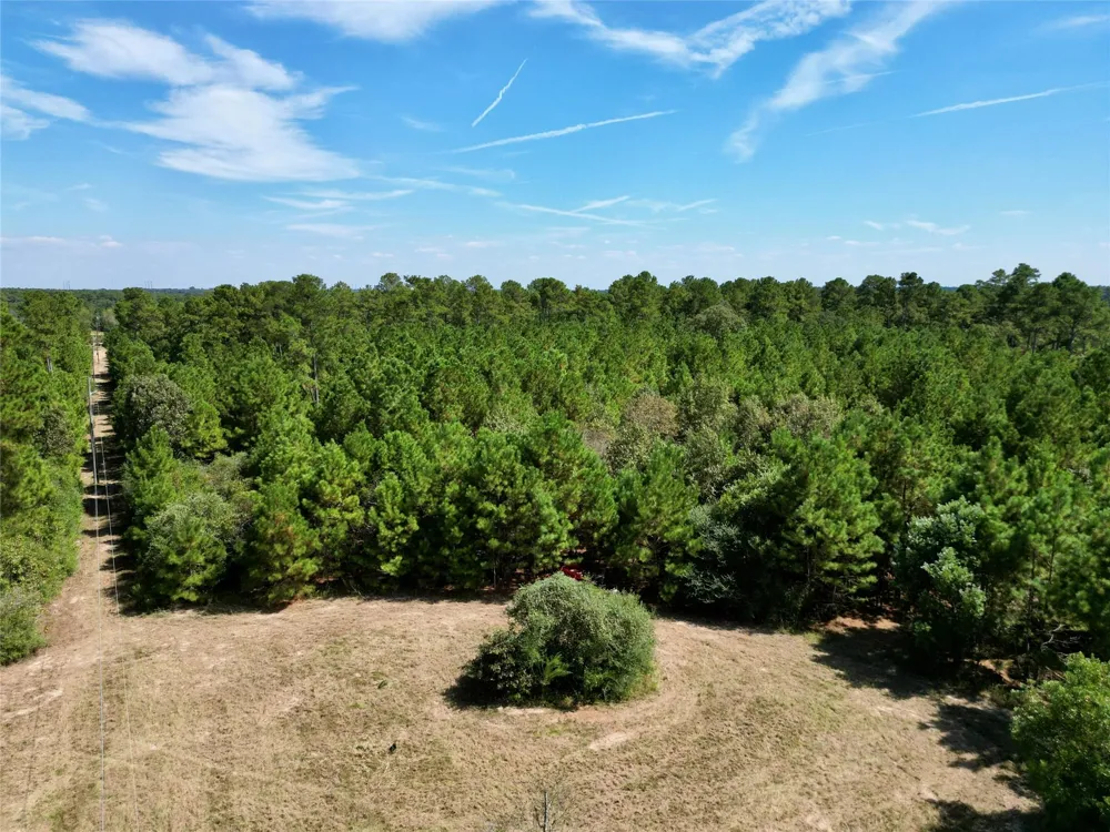 County Road 304 Navasota, TX 77868