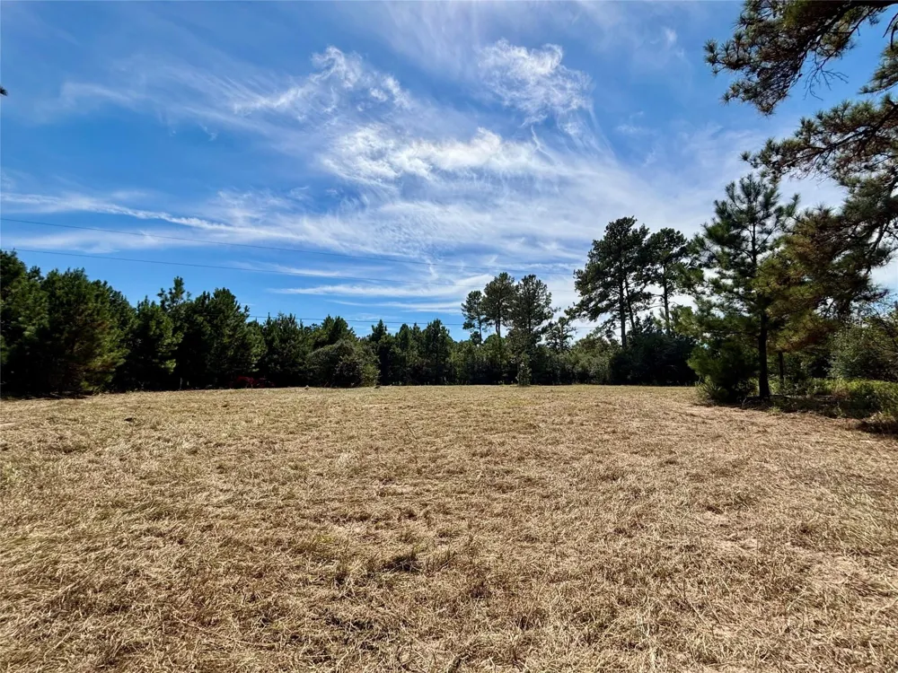 County Road 304 Navasota, TX 77868