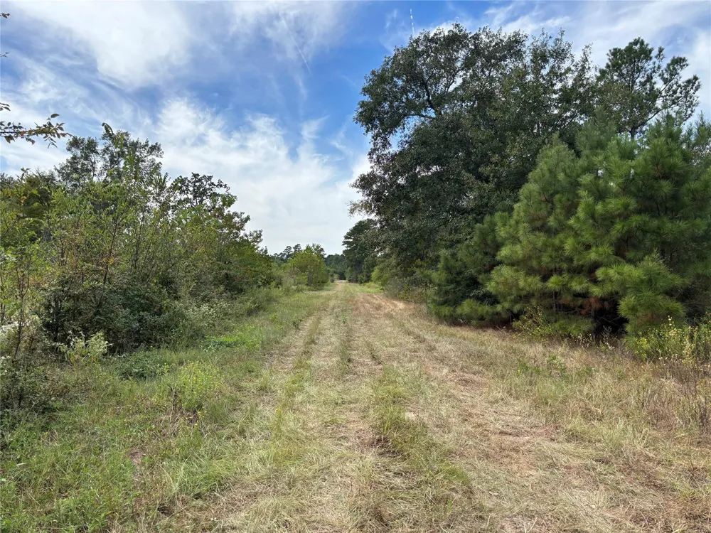 County Road 304 Navasota, TX 77868