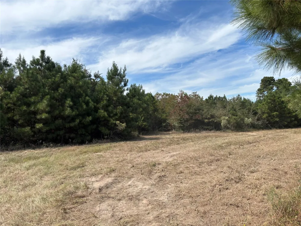 County Road 304 Navasota, TX 77868