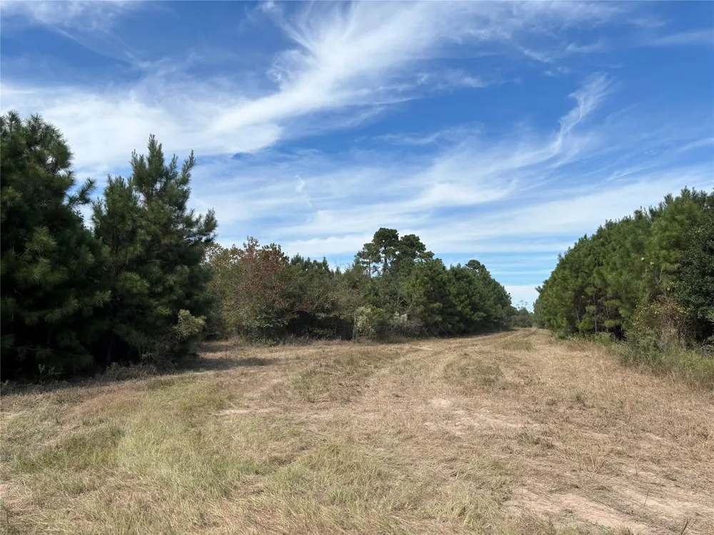 County Road 304 Navasota, TX 77868