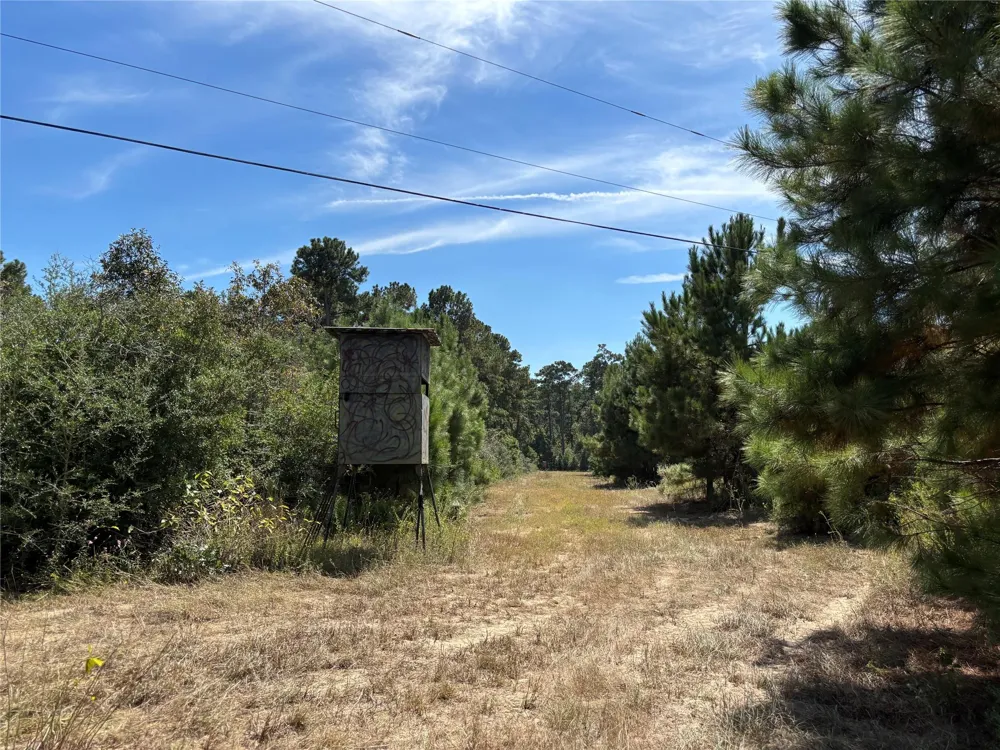County Road 304 Navasota, TX 77868