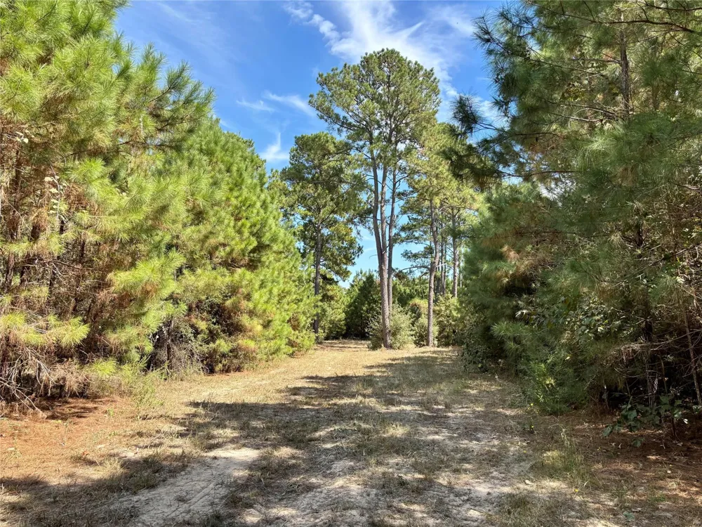 County Road 304 Navasota, TX 77868