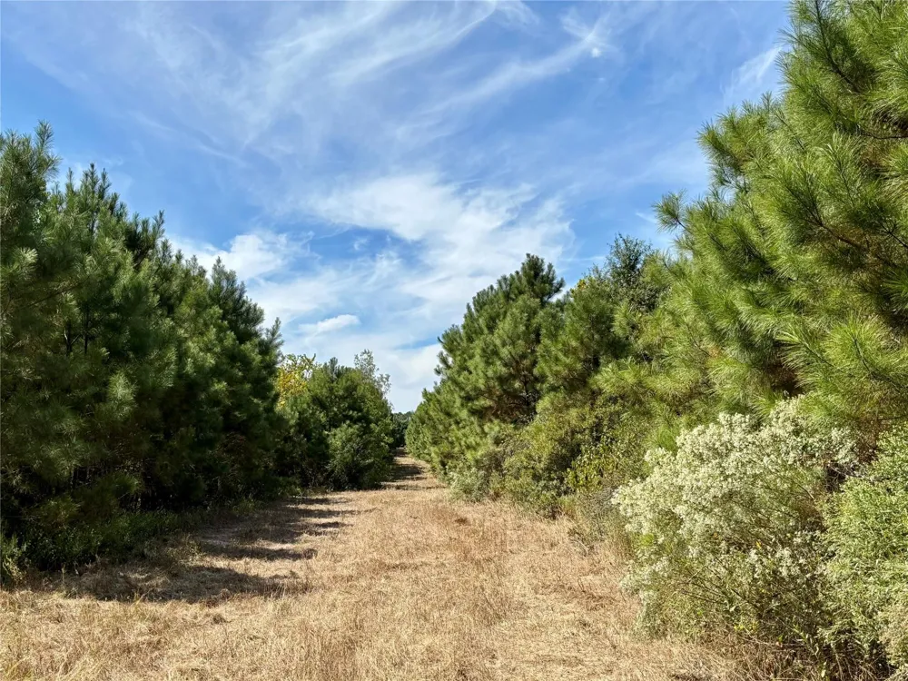 County Road 304 Navasota, TX 77868