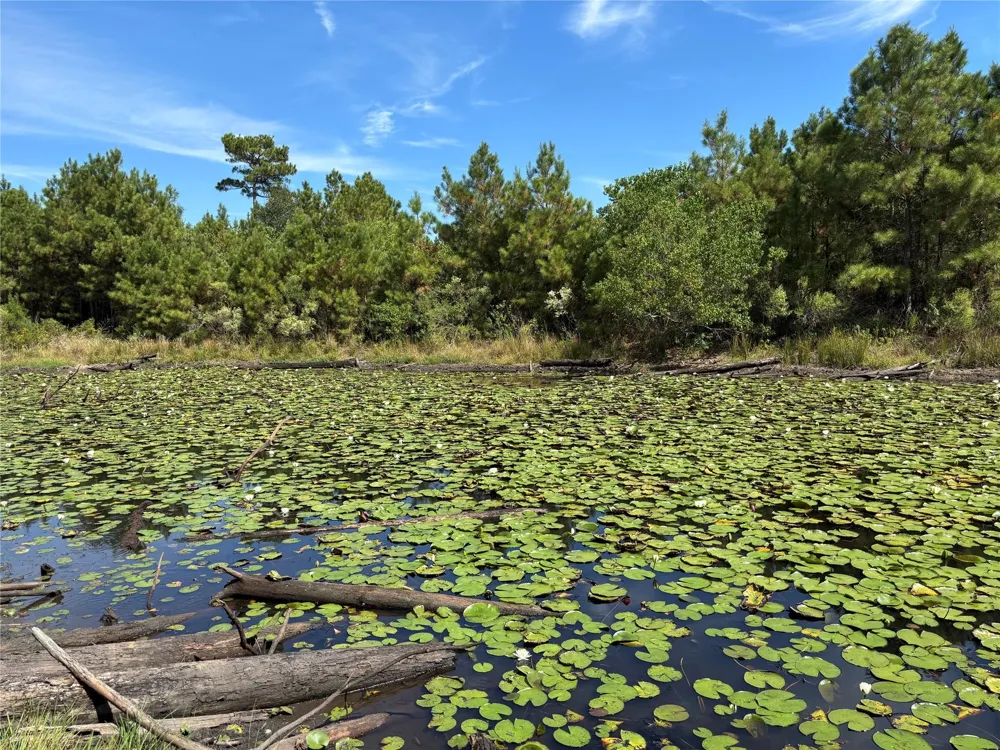 County Road 304 Navasota, TX 77868