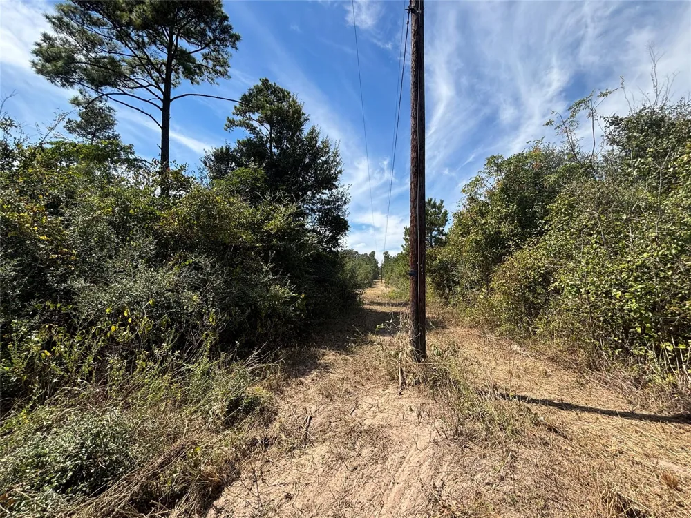 County Road 304 Navasota, TX 77868