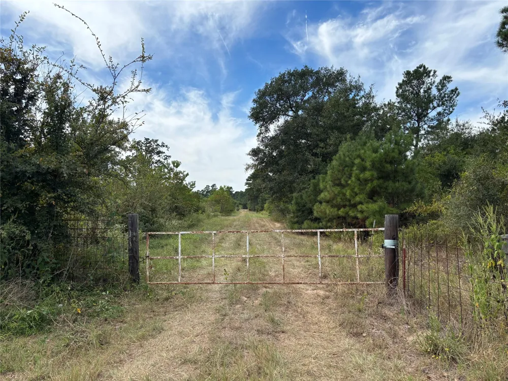 County Road 304 Navasota, TX 77868