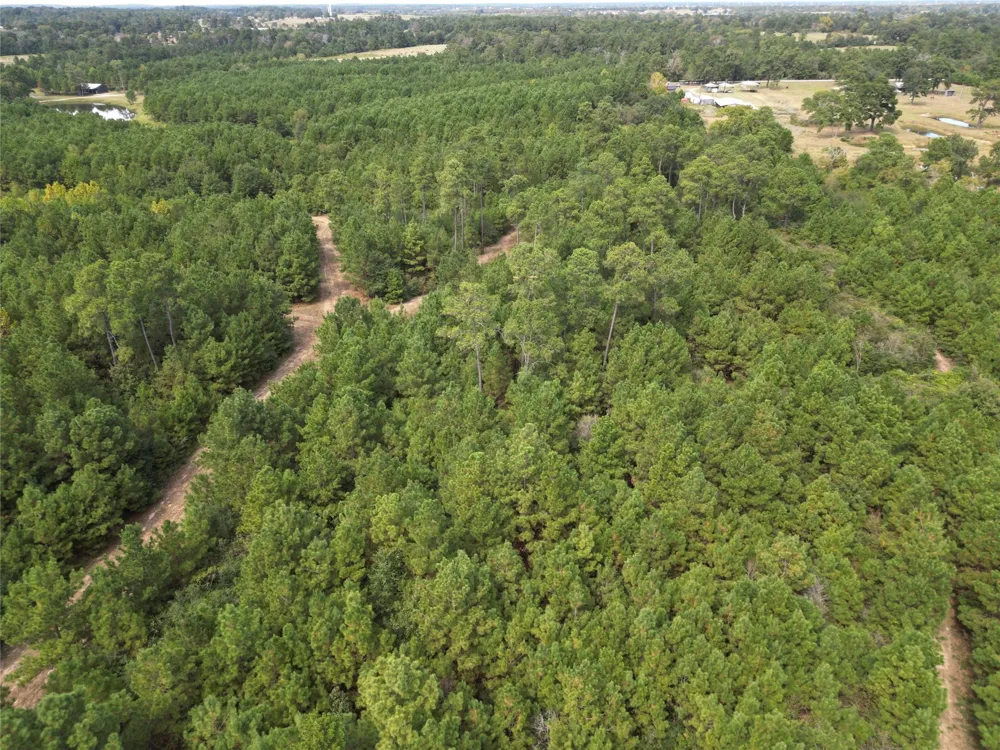 County Road 304 Navasota, TX 77868