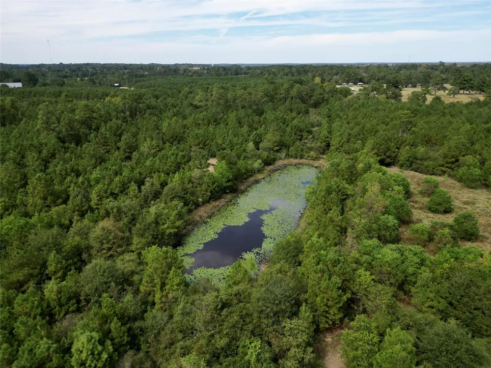 County Road 304 Navasota, TX 77868