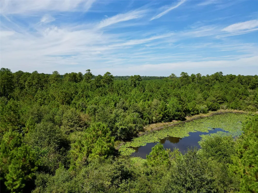 County Road 304 Navasota, TX 77868