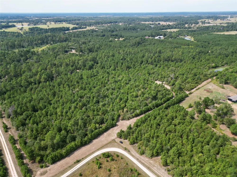 County Road 304 Navasota, TX 77868