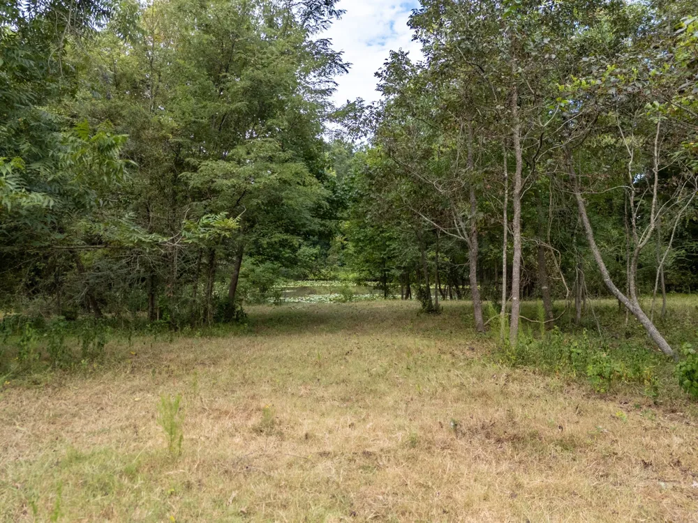 HWY 49 Jefferson, TX 75657