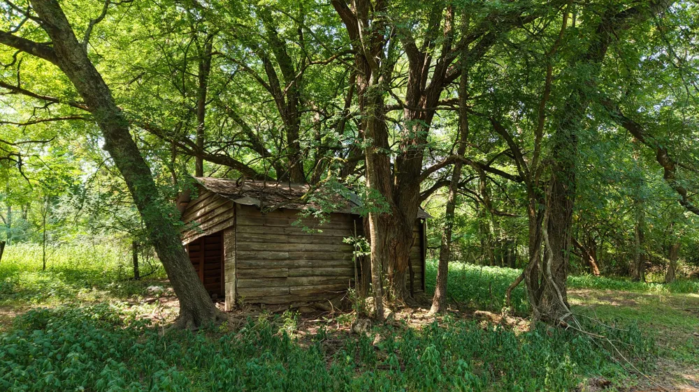HWY 49 Jefferson, TX 75657