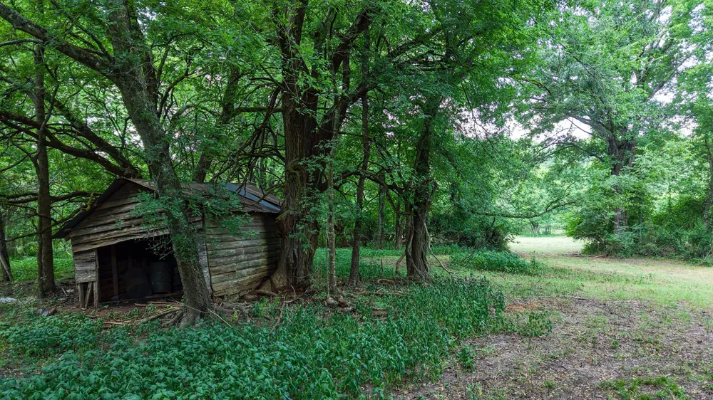 HWY 49 Jefferson, TX 75657