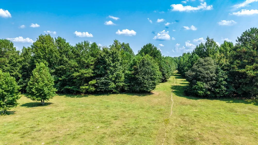 HWY 49 Jefferson, TX 75657
