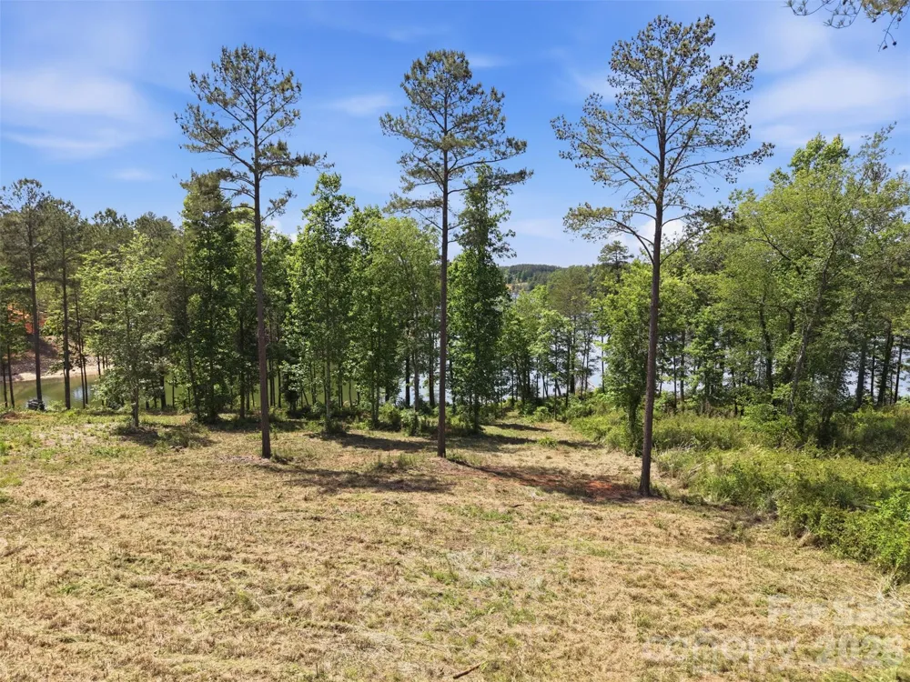 3067 Jumping Run #103 Connelly Springs, NC 28612