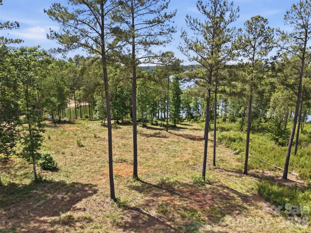3067 Jumping Run #103 Connelly Springs, NC 28612