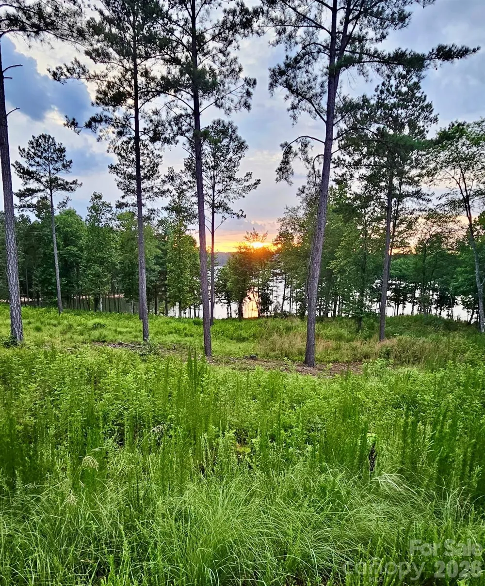 3067 Jumping Run #103 Connelly Springs, NC 28612