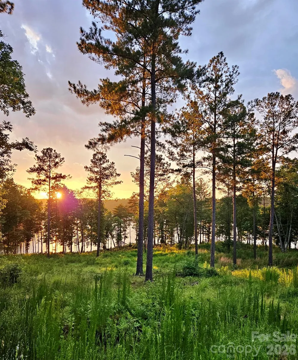 3067 Jumping Run #103 Connelly Springs, NC 28612