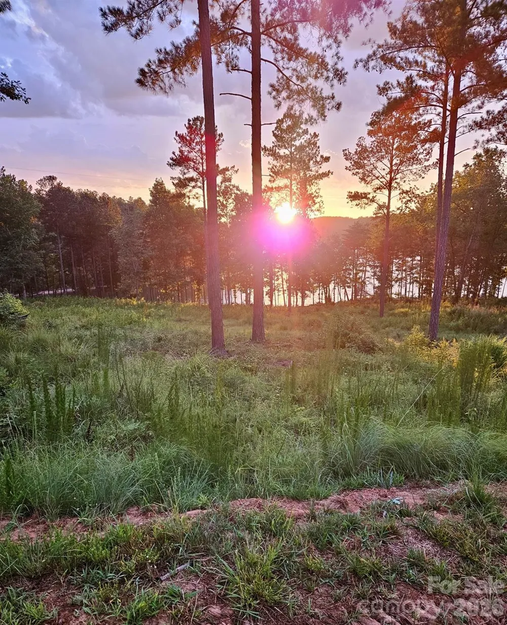 3067 Jumping Run #103 Connelly Springs, NC 28612